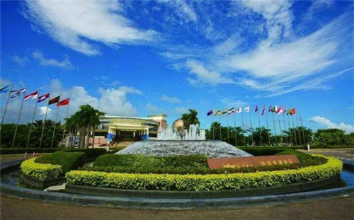 鲨鱼杰克小海鲜焖面