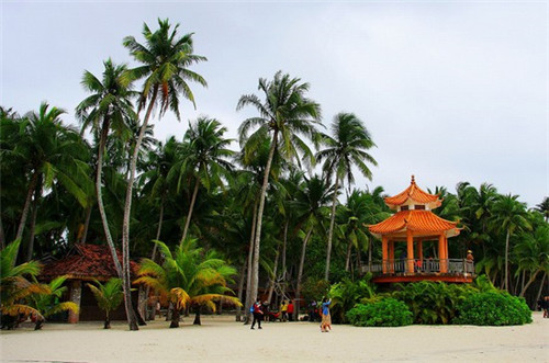 牛战将烤肉饭披萨