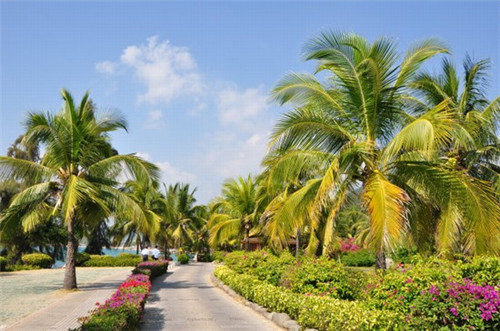 加盟欧美龙洗衣投资需要多少成本，加盟欧美龙洗衣还有投资的价值吗