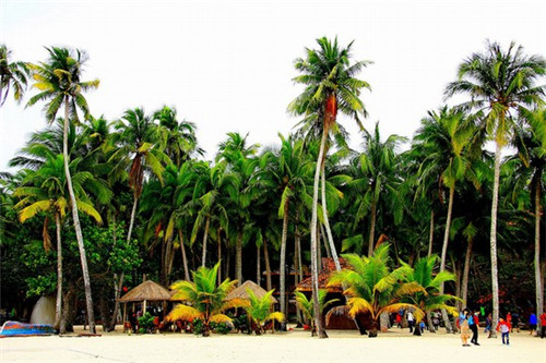 邯鲜汇加盟费多少钱