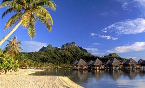 风行茶饮加盟这个品牌怎么样