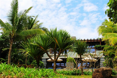 松溪县开店雪纺上衣加盟项目推荐有哪些