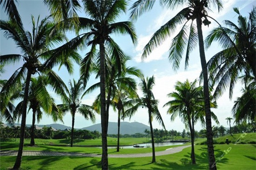 爆米花加盟投资创业什么品牌好