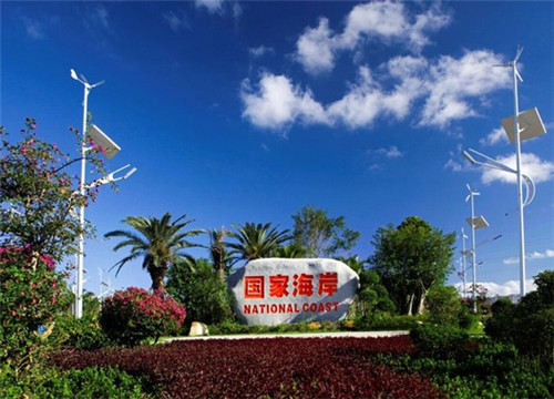 谁会谁心疼是什么歌（谁会心疼我是什么歌）