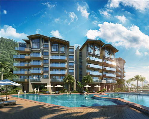 茶叶能够采几次吗（茶叶采摘下来能放多久）