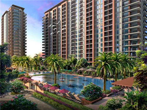 东兴市开店创业哪家锤子加盟项目比较靠谱（东兴市坚果加工企业）