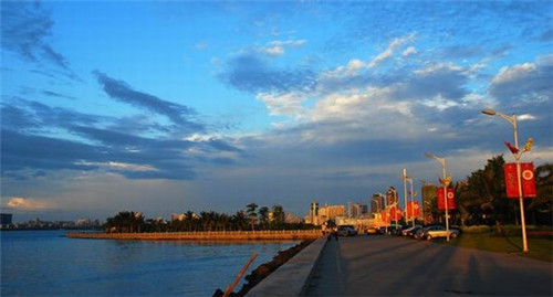 花谢人长瘤是什么歌（花谢花落是哪首歌曲）