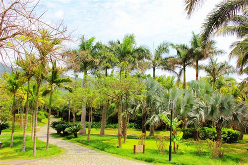 新大唐双龙传游秋凤（新大唐双龙传演员表）