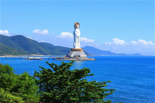 乌贼鱿鱼炒好吃还是不炒（乌贼鱿鱼炒好吃还是不炒好吃）